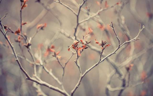 霸氣勵志個性說說短語