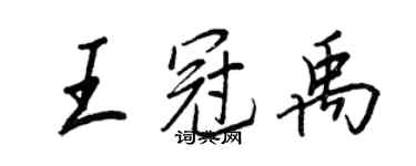 王正良王冠禹行書個性簽名怎么寫