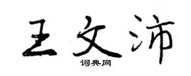 曾慶福王文沛行書個性簽名怎么寫