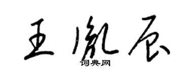 梁錦英王胤辰草書個性簽名怎么寫