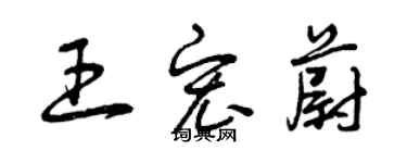 曾慶福王宏蔚草書個性簽名怎么寫