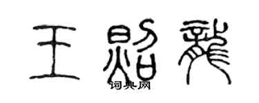 陳聲遠王照龍篆書個性簽名怎么寫