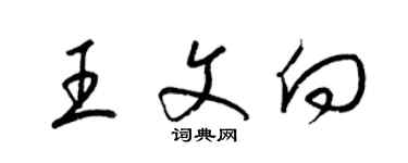 梁錦英王文向草書個性簽名怎么寫