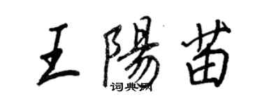 王正良王陽苗行書個性簽名怎么寫