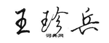 駱恆光王珍兵行書個性簽名怎么寫