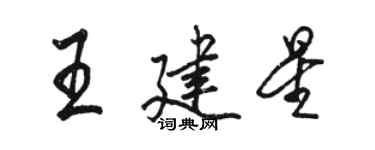 駱恆光王建星行書個性簽名怎么寫