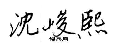 王正良沈峻熙行書個性簽名怎么寫