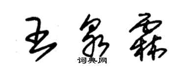 朱錫榮王泉霖草書個性簽名怎么寫