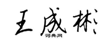 王正良王成彬行書個性簽名怎么寫