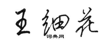 駱恆光王細花行書個性簽名怎么寫