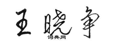 駱恆光王曉爭行書個性簽名怎么寫