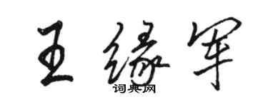 駱恆光王緣軍行書個性簽名怎么寫