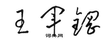 駱恆光王軍鋼草書個性簽名怎么寫