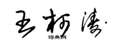 朱錫榮王柯濤草書個性簽名怎么寫