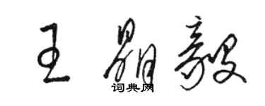 駱恆光王晶毅草書個性簽名怎么寫