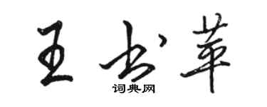 駱恆光王書苹行書個性簽名怎么寫