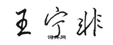 駱恆光王寧非行書個性簽名怎么寫