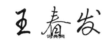 駱恆光王春發行書個性簽名怎么寫