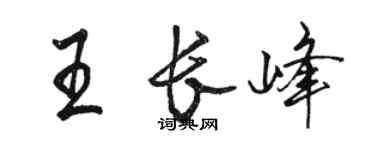駱恆光王長峰行書個性簽名怎么寫