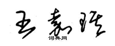 朱錫榮王嘉琪草書個性簽名怎么寫