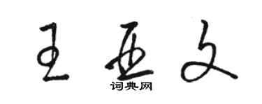 駱恆光王亞文草書個性簽名怎么寫