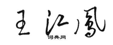 駱恆光王江鳳草書個性簽名怎么寫