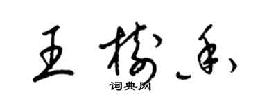 梁錦英王樹香草書個性簽名怎么寫