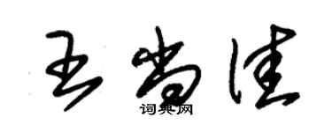 朱錫榮王尚佳草書個性簽名怎么寫