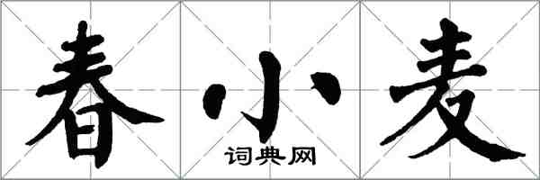 翁闓運春小麥楷書怎么寫