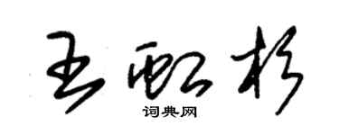 朱錫榮王虹杉草書個性簽名怎么寫