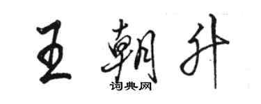 駱恆光王朝升行書個性簽名怎么寫