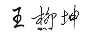 駱恆光王柳坤行書個性簽名怎么寫