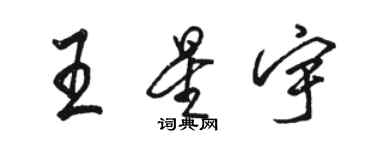 駱恆光王星宇行書個性簽名怎么寫