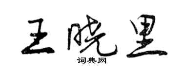 曾慶福王曉里行書個性簽名怎么寫