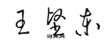 駱恆光王堅東草書個性簽名怎么寫