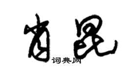 朱錫榮肖昆草書個性簽名怎么寫