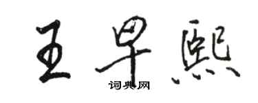 駱恆光王早熙行書個性簽名怎么寫