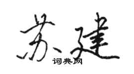 駱恆光蘇建行書個性簽名怎么寫