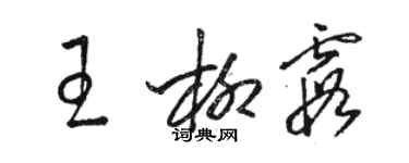 駱恆光王柳霞草書個性簽名怎么寫