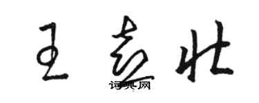 駱恆光王喜壯草書個性簽名怎么寫