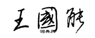 王正良王國能行書個性簽名怎么寫