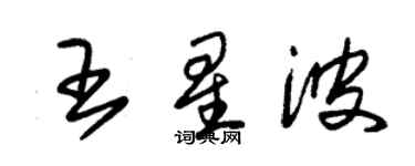 朱錫榮王星波草書個性簽名怎么寫