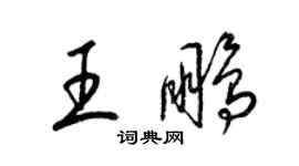 梁錦英王鵬草書個性簽名怎么寫