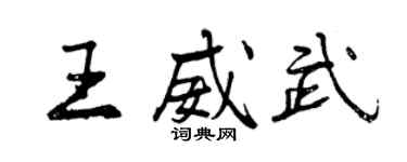 曾慶福王威武行書個性簽名怎么寫