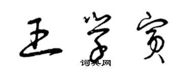 曾慶福王學賓草書個性簽名怎么寫