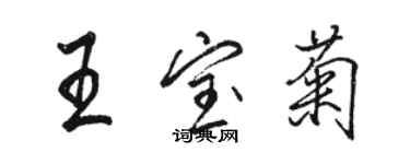 駱恆光王寶菊行書個性簽名怎么寫