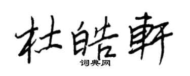 王正良杜皓軒行書個性簽名怎么寫