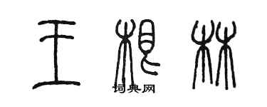 陳墨王根林篆書個性簽名怎么寫