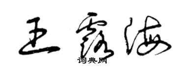 曾慶福王露海草書個性簽名怎么寫