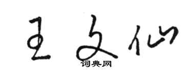 駱恆光王文仙草書個性簽名怎么寫